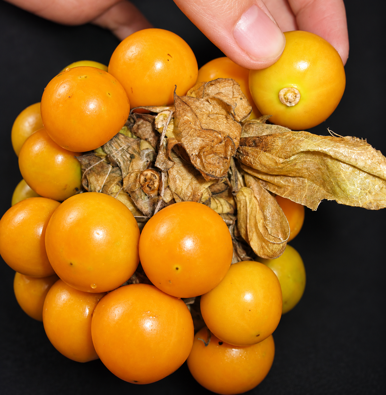 Raspberry Indian Rk Fruits